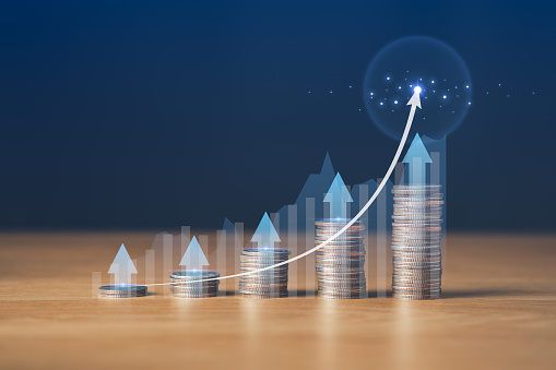 Investment & Funding Advisory